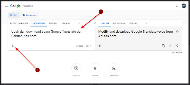 putar suara di situs google translate